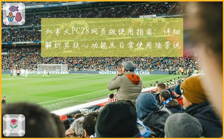 加拿大PC28网页版使用指南：详细解析其核心功能及日常使用场景说明
