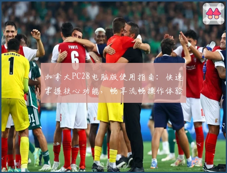 加拿大PC28电脑版使用指南：快速掌握核心功能，畅享流畅操作体验