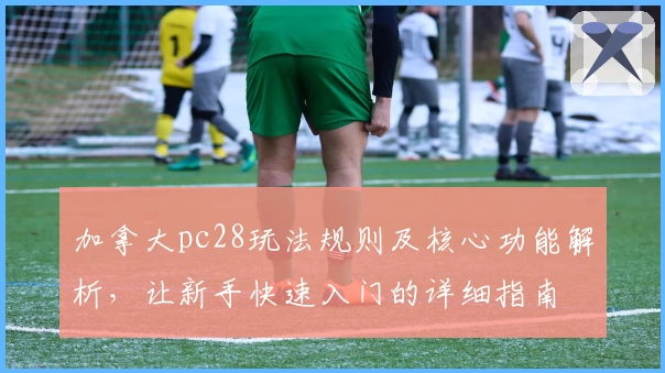 加拿大pc28玩法规则及核心功能解析，让新手快速入门的详细指南