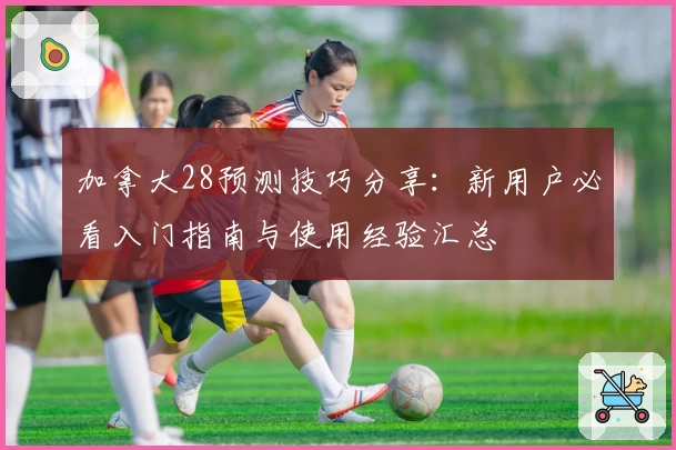 加拿大28预测技巧分享：新用户必看入门指南与使用经验汇总