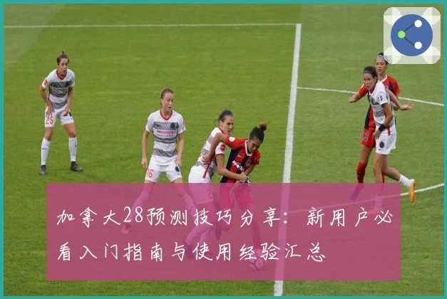 加拿大28预测技巧分享：新用户必看入门指南与使用经验汇总