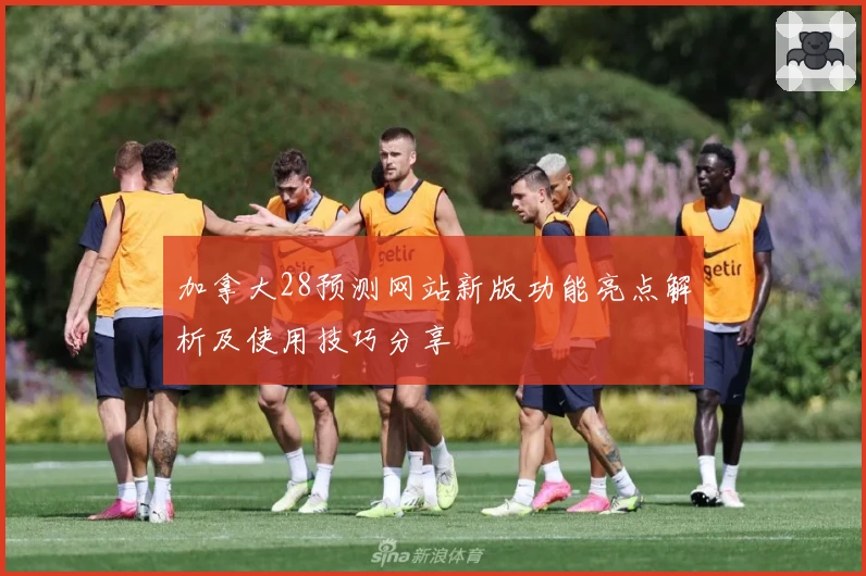 加拿大28预测网站新版功能亮点解析及使用技巧分享