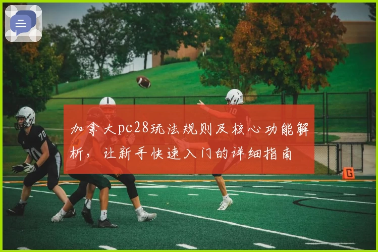 加拿大pc28玩法规则及核心功能解析,让新手快速入门的详细指南