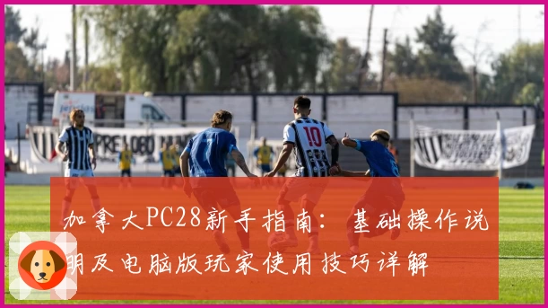 加拿大PC28新手指南：基础操作说明及电脑版玩家使用技巧详解