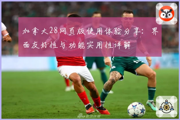 加拿大28网页版使用体验分享：界面友好性与功能实用性详解