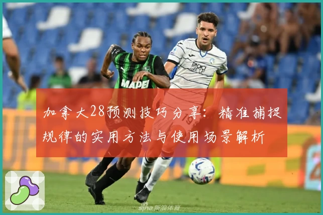 加拿大28预测技巧分享：精准捕捉规律的实用方法与使用场景解析