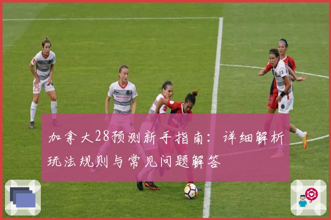 加拿大28预测新手指南：详细解析玩法规则与常见问题解答