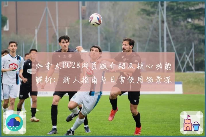 加拿大PC28网页版介绍及核心功能解析：新人指南与日常使用场景深度解析