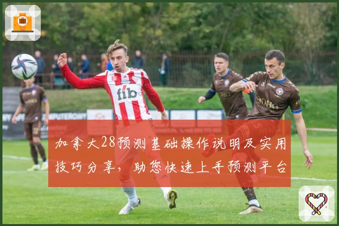 加拿大28预测基础操作说明及实用技巧分享，助您快速上手预测平台