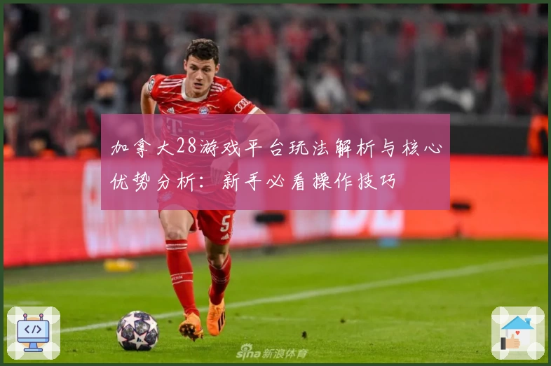 加拿大28游戏平台玩法解析与核心优势分析：新手必看操作技巧