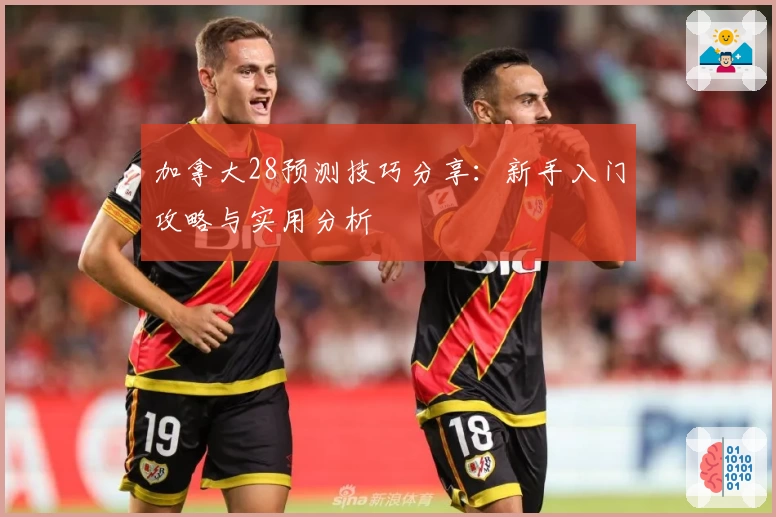 加拿大28预测技巧分享：新手入门攻略与实用分析