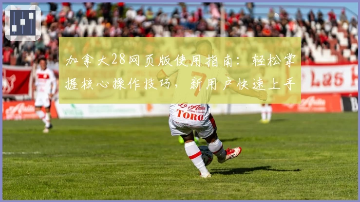 加拿大28网页版使用指南：轻松掌握核心操作技巧，新用户快速上手秘诀解析