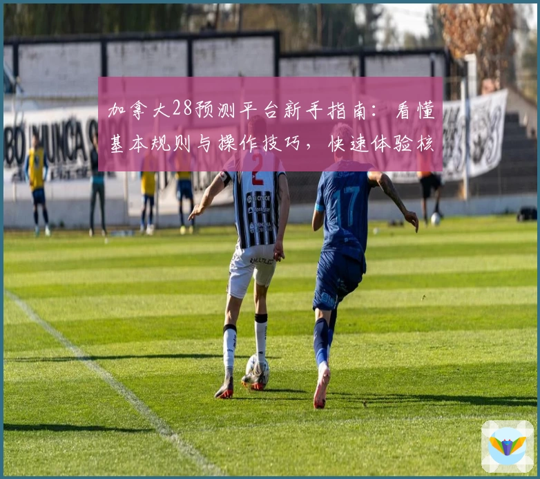 加拿大28预测平台新手指南:看懂基本规则与操作技巧,快速体验核心乐趣